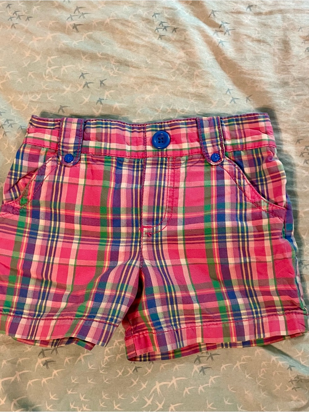 Circo Pink Plaid Cotton Shorts with Blue Button